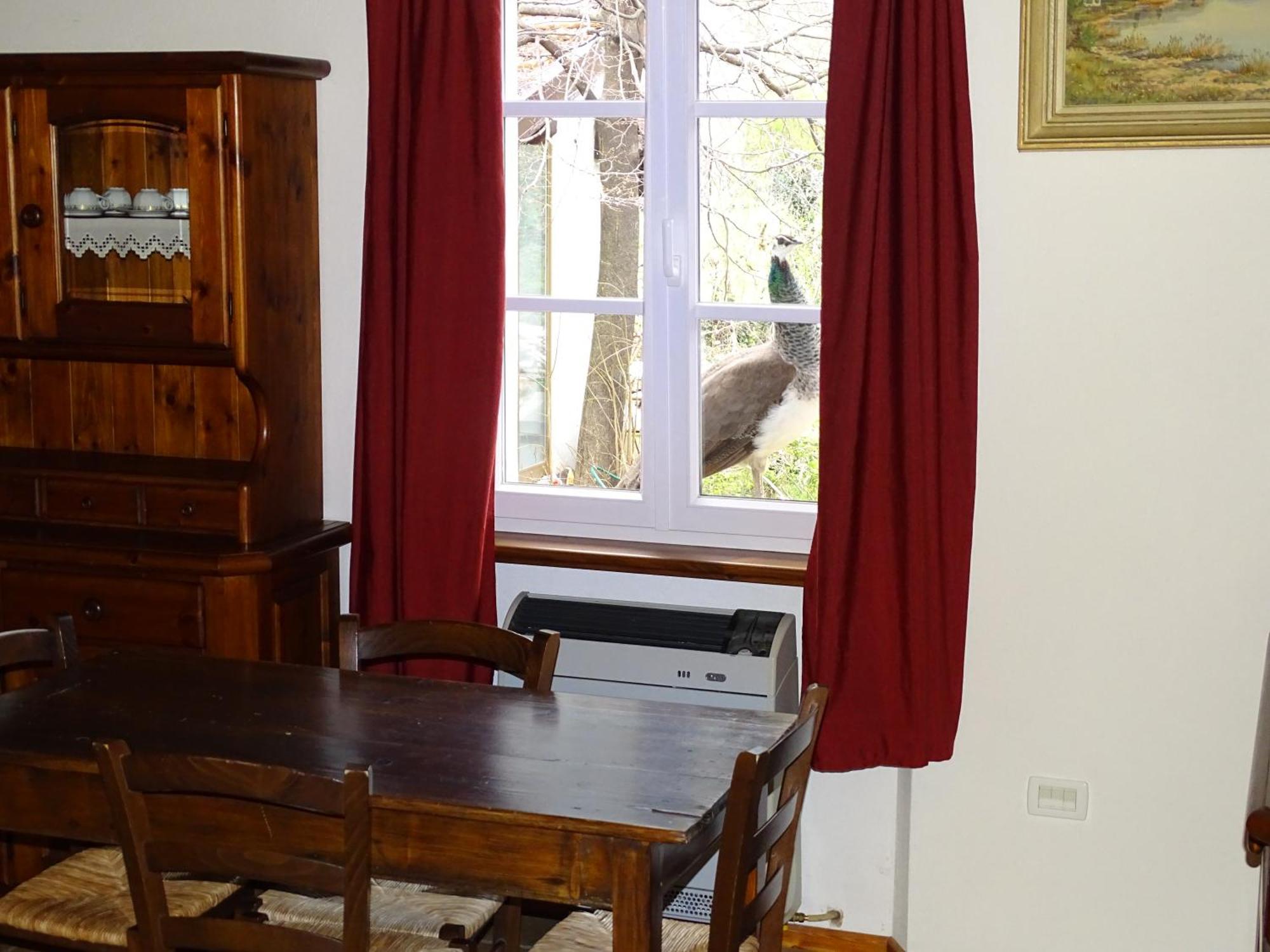 Casa Delle Risorgive Hotel Venzone Ngoại thất bức ảnh